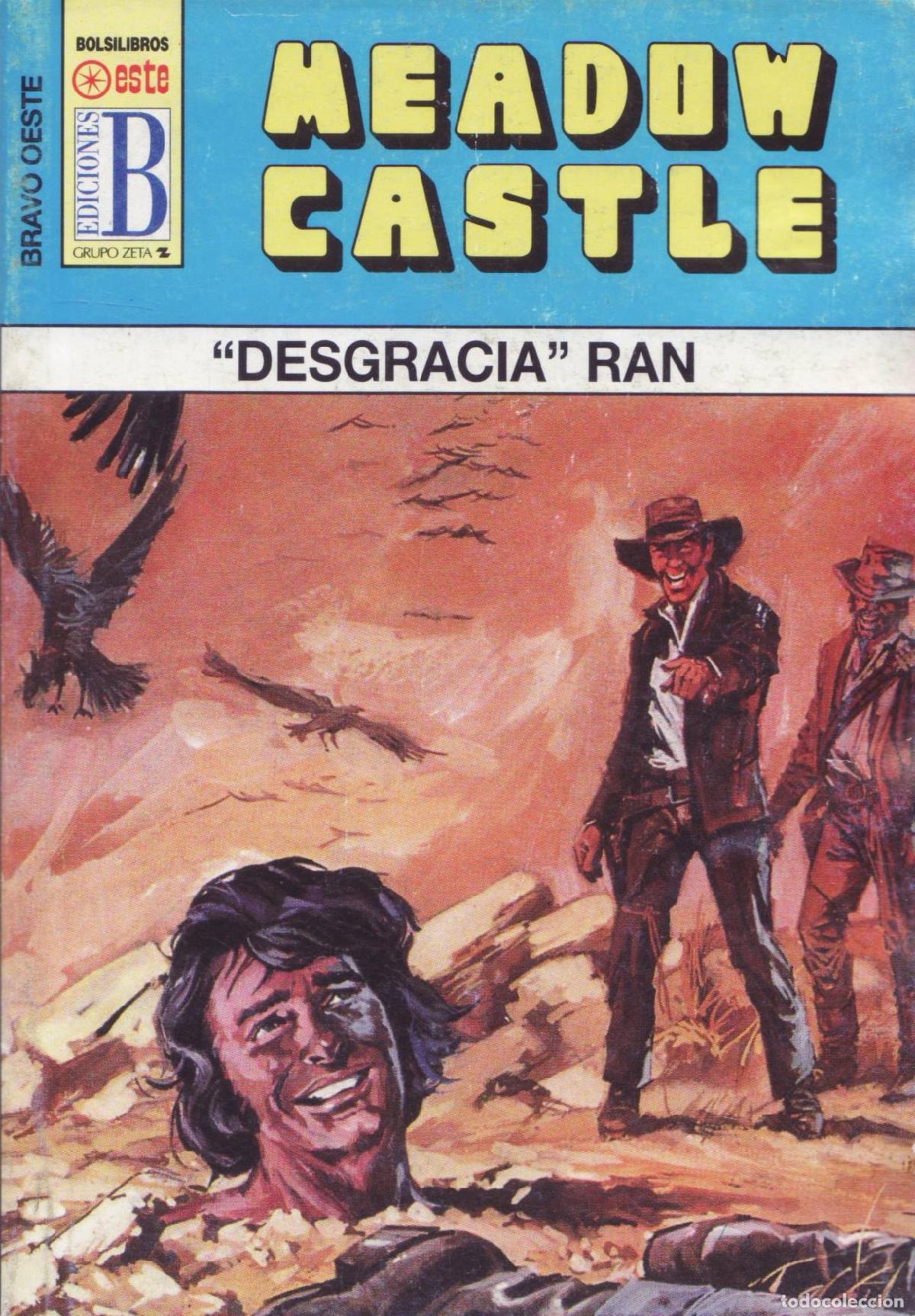 Gebrauchte B&uuml;cher: Desgracia Ran - Castle, Meadow