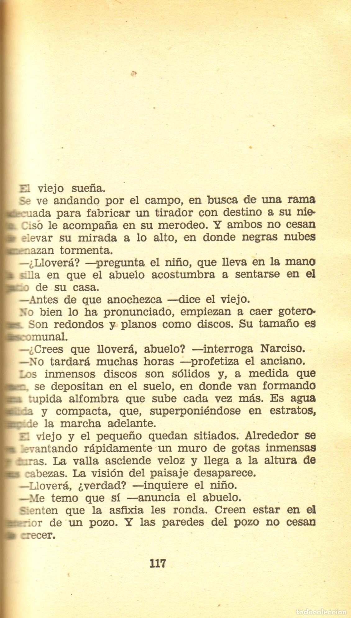 Libros de segunda mano: La riada - Carol, Jose - Foto 2