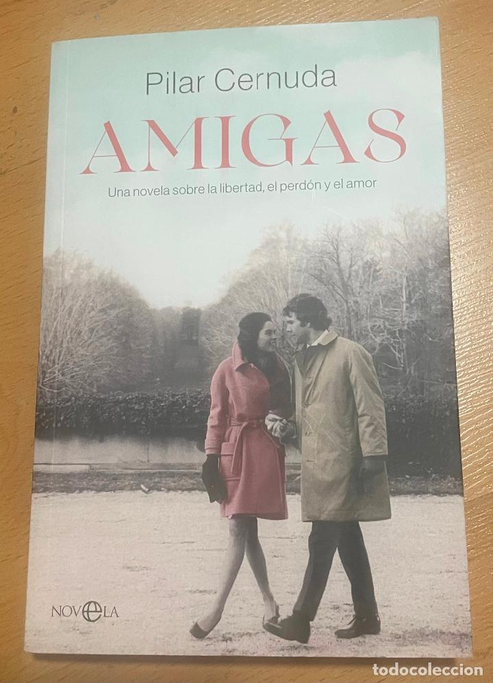 Libros de segunda mano: AMIGAS, Pilar Cernuda - Foto 1