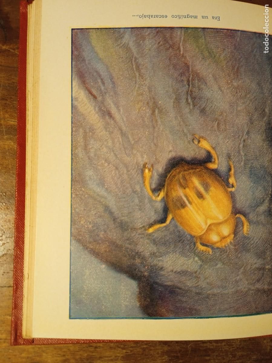 Libros de segunda mano: Cuentos de Edgar Poe Araluce 1952 - Foto 4
