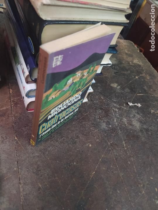 Libros de segunda mano: Cuatrocasas. E.Mignogna. L.31743 - Foto 2