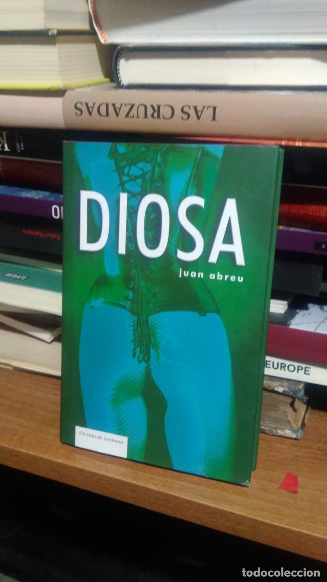 Libros de segunda mano: DIOSA, JUAN ABREU, ED. CIRCULO DE LECTORES - Foto 1