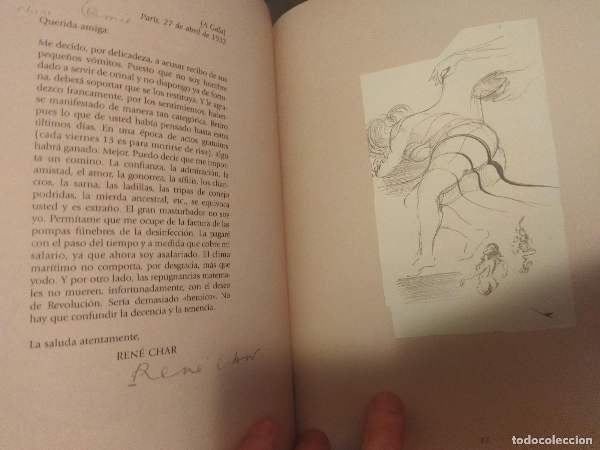 Libros de segunda mano: Libro Dal&iacute; &iacute;ntimo - Foto 1