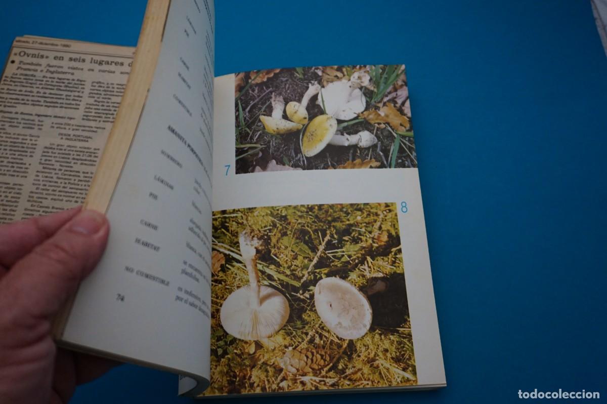 Libros de segunda mano: AMF-32G/ EL GRAN LIBRO DE LAS SETAS - DR. PEDRO LUIS VIANI / EDITORIAL DE VECCHI - Foto 4