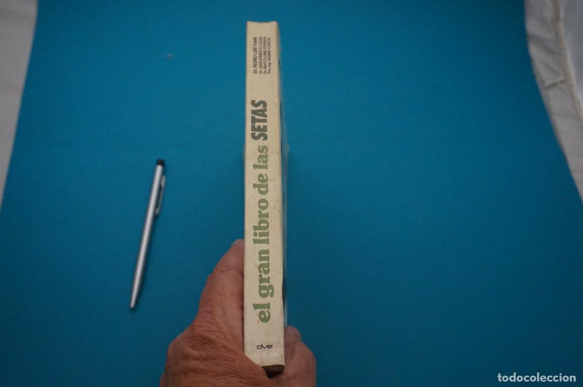 Libros de segunda mano: AMF-32G/ EL GRAN LIBRO DE LAS SETAS - DR. PEDRO LUIS VIANI / EDITORIAL DE VECCHI - Foto 7
