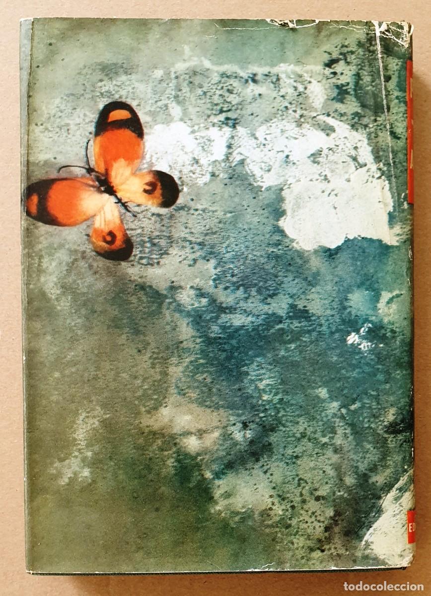Libros de segunda mano: APOLINARIA. PITIGRILLI. PLANETA 1962. - Foto 2