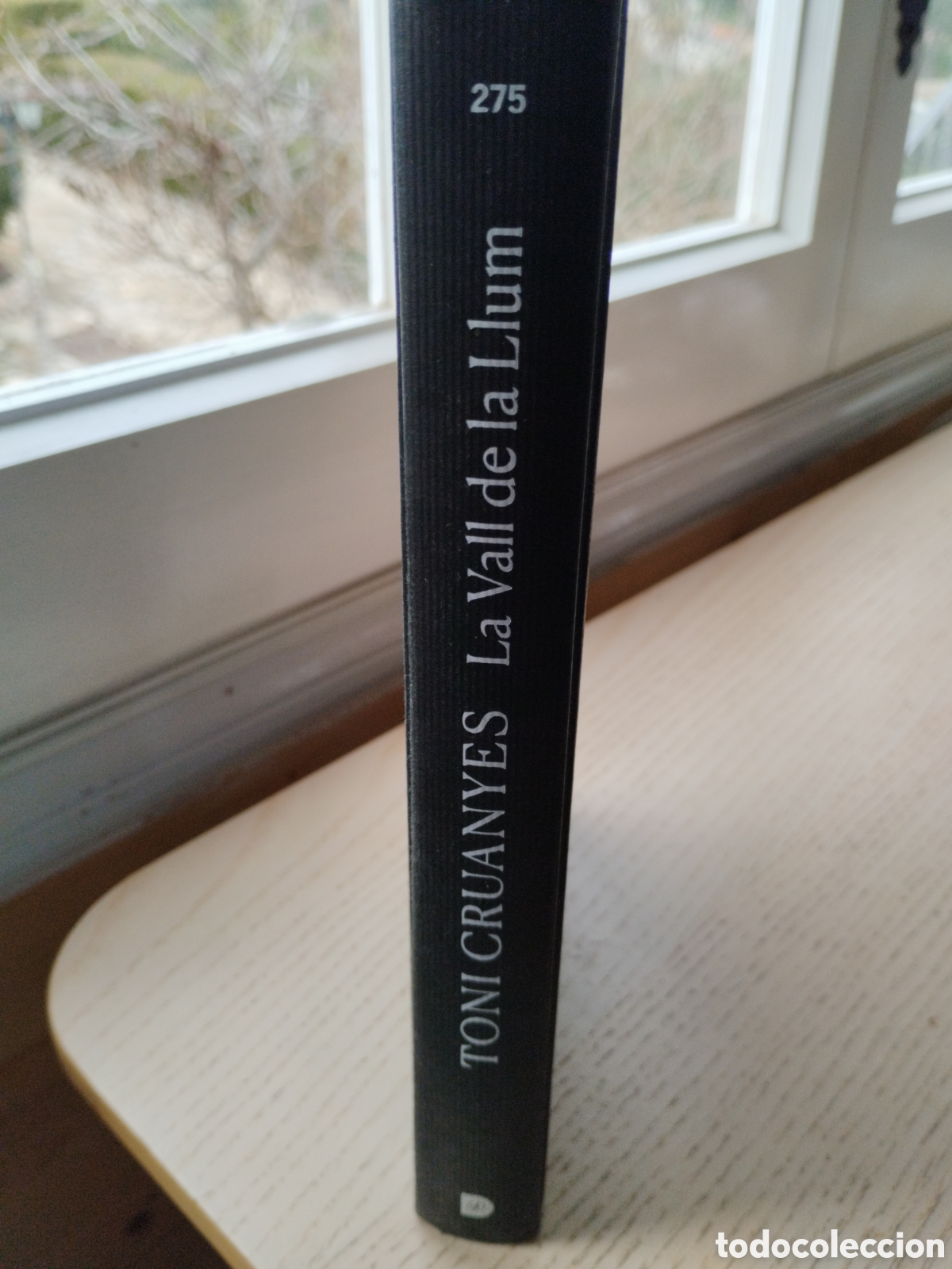 Libros de segunda mano: La Vall de la llum - Foto 1