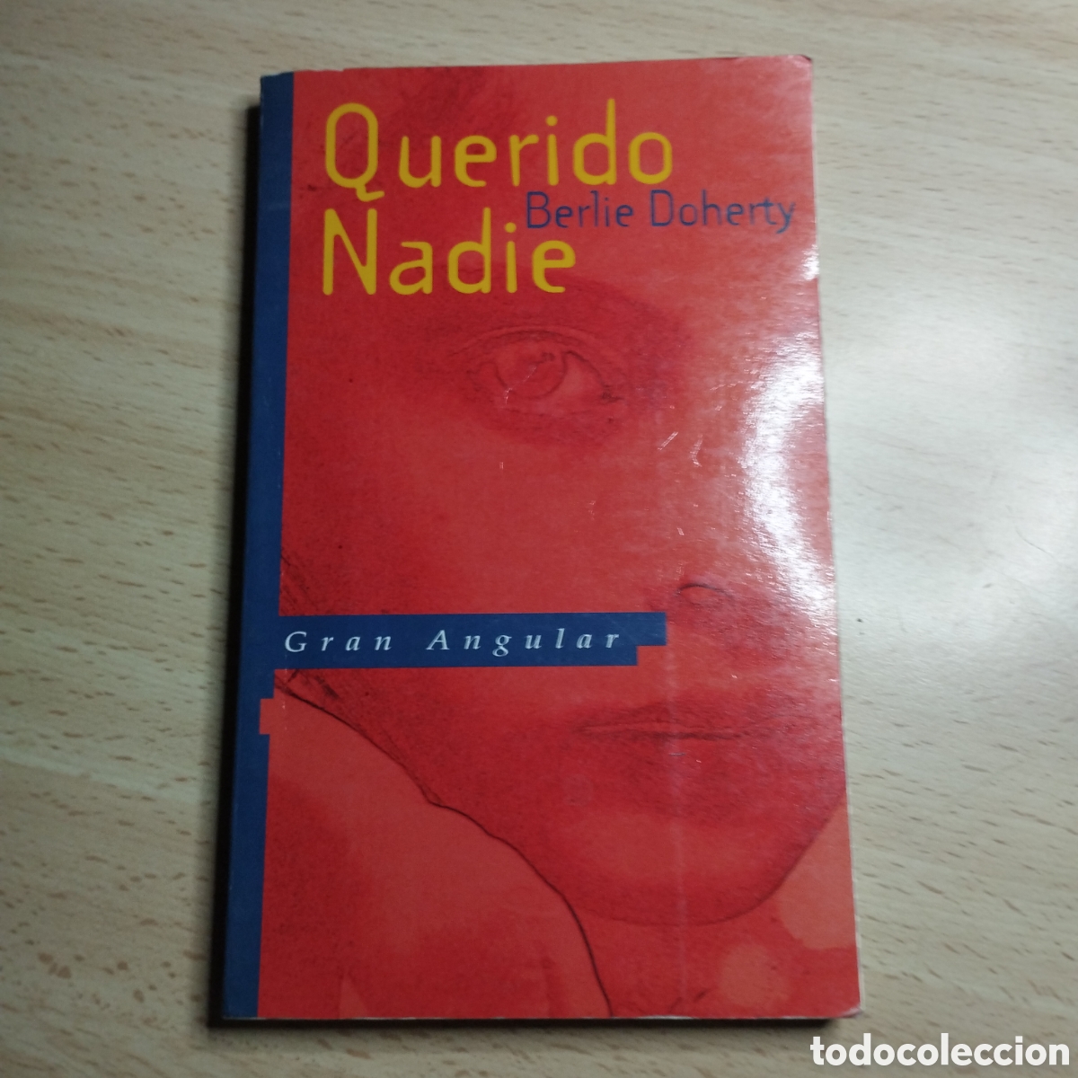 Libros de segunda mano: Querido nadie. Berlie Doherty. Gran Angular. 1995. - Foto 1