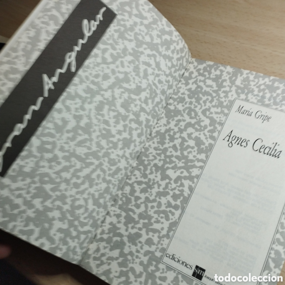 Libros de segunda mano: Agned Cecilia. Mar&iacute;a Gripe. Gran angular. 1994. - Foto 5