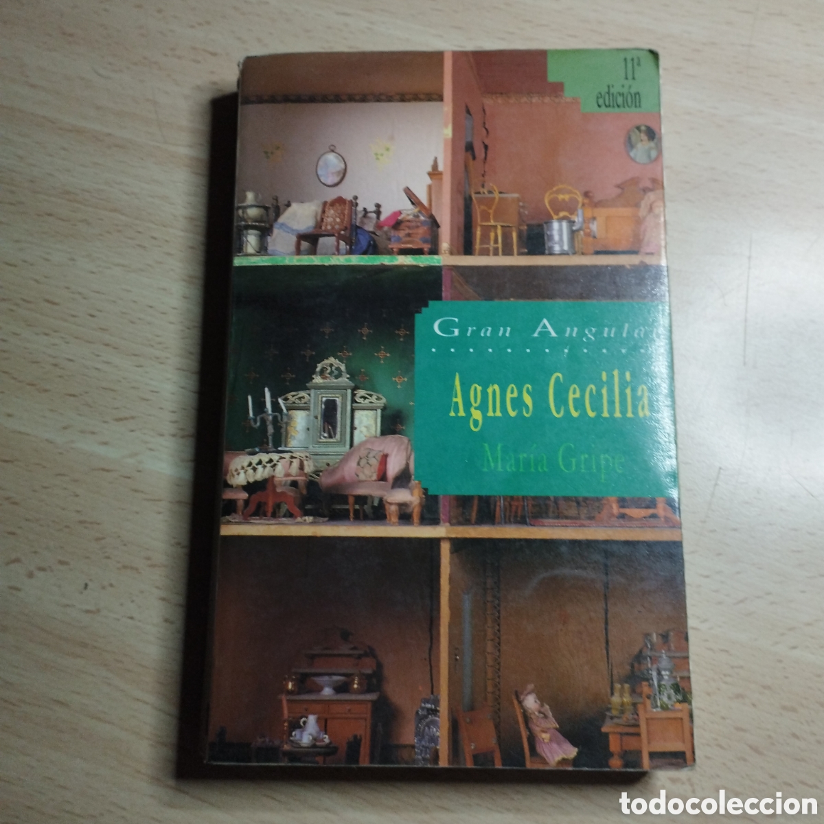 Libros de segunda mano: Agned Cecilia. Mar&iacute;a Gripe. Gran angular. 1994. - Foto 1