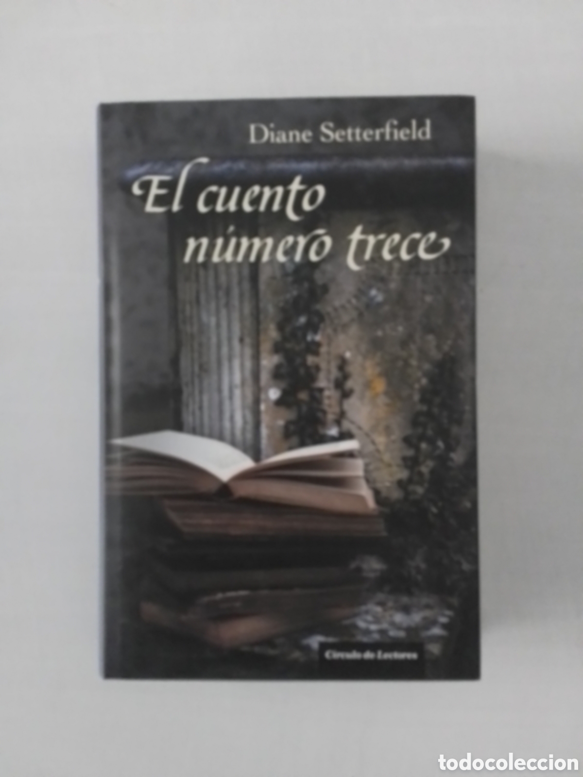 Libros de segunda mano: Libro Diane Setterfield - Foto 1