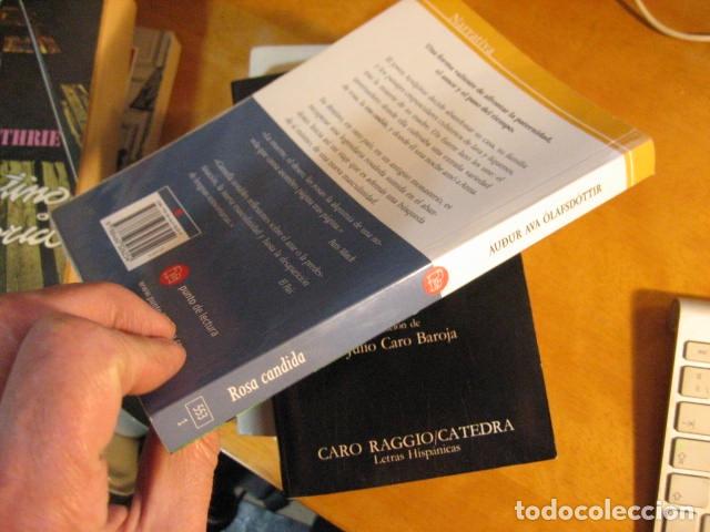 Libros de segunda mano: ROSA CANDIDA - OLAFSDOTTIR, AUDUR AVA - Foto 2