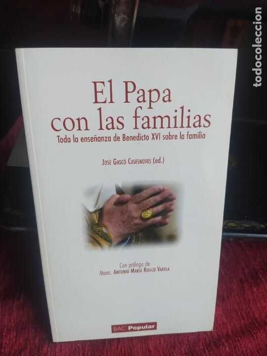 Gebrauchte B&uuml;cher: El Papa con las familias. Jos&eacute; G. Casesnoves (ed.). L.19132-414