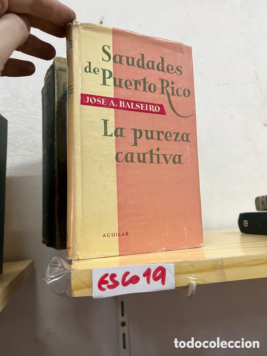 Libros de segunda mano: Esco19 Saudades de Puerto Rico La pureza cautiva JOSE A. BALSEIRO