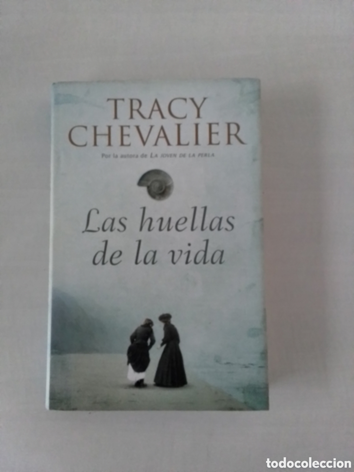 Libros de segunda mano: Libro Tracy Chevalier - Foto 1