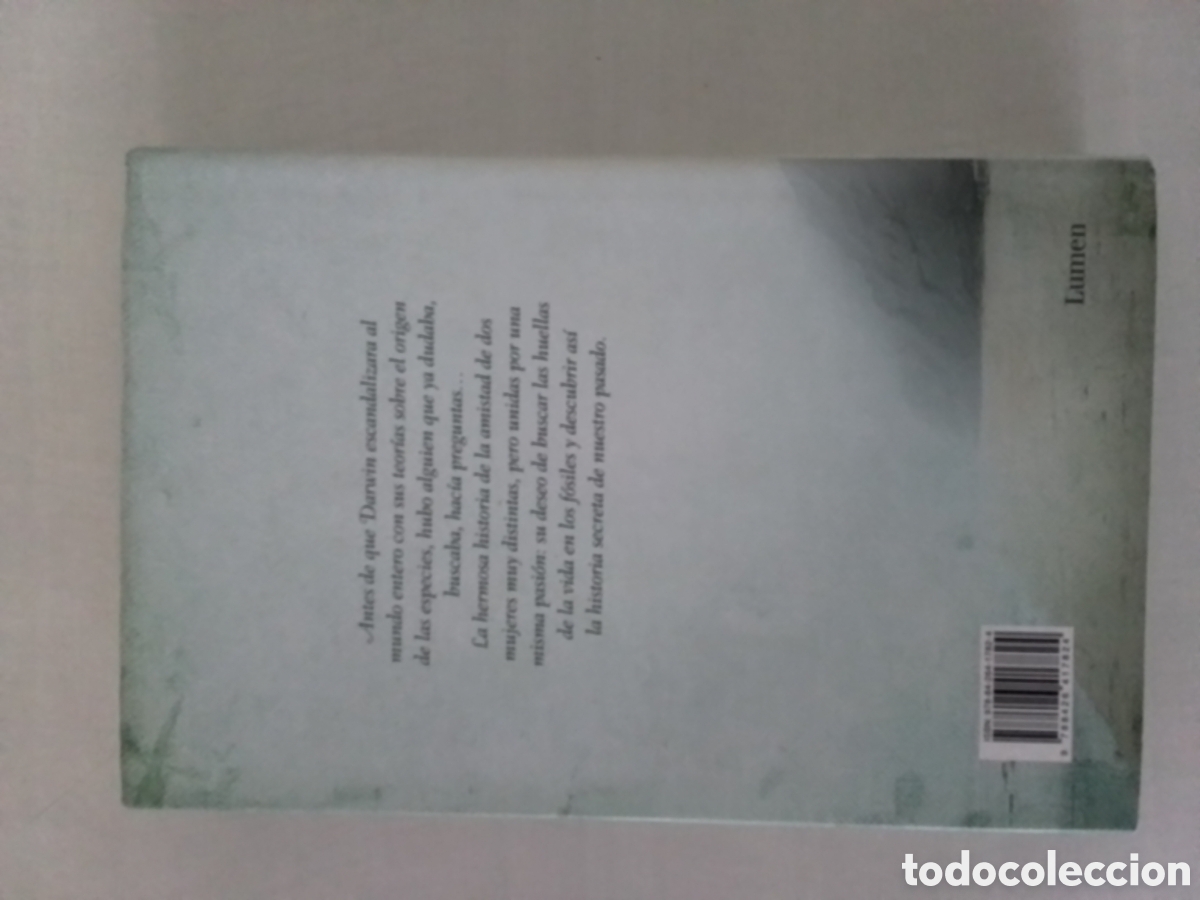 Libros de segunda mano: Libro Tracy Chevalier - Foto 2