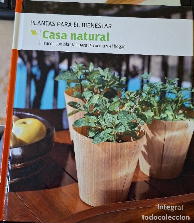 Libri di seconda mano: CASA NATURAL. TRUCOS CON PLANTAS PARA LA COCINA Y EL HOGAR. -