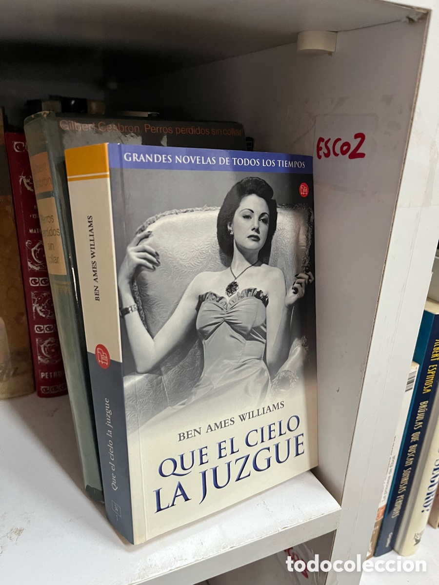 Libros de segunda mano: Esco2 BEN AMES WILLIAMS QUE EL CIELO LA JUZGUE - Foto 1