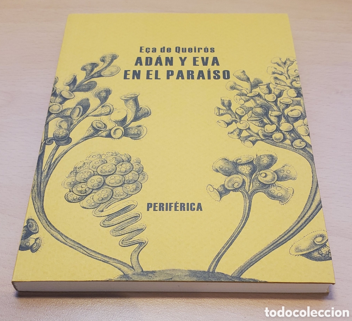 Libros de segunda mano: Ad&aacute;n y Eva en el para&iacute;so - E&ccedil;a de Queiros - Foto 1