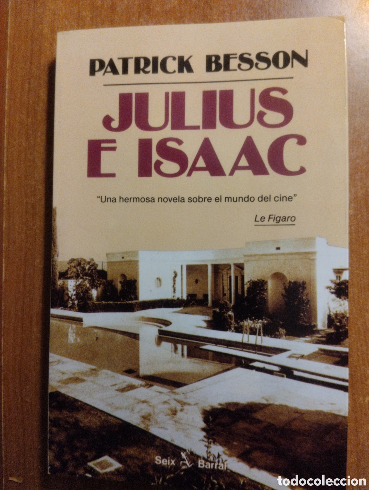 Libros de segunda mano: Julius e Isaac, Patrick Besson - Foto 1