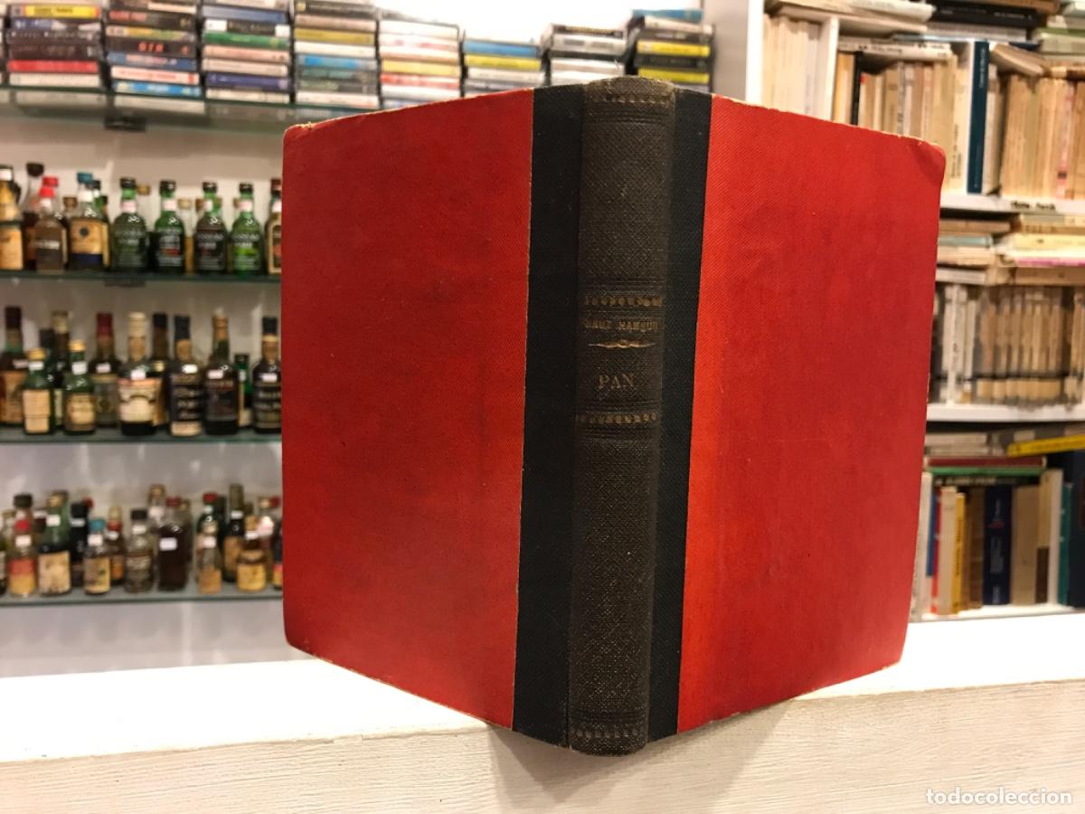 Libros de segunda mano: KNUT HAMSUN. PAN. ED. BIBLIOTECA NUEVA - Foto 1