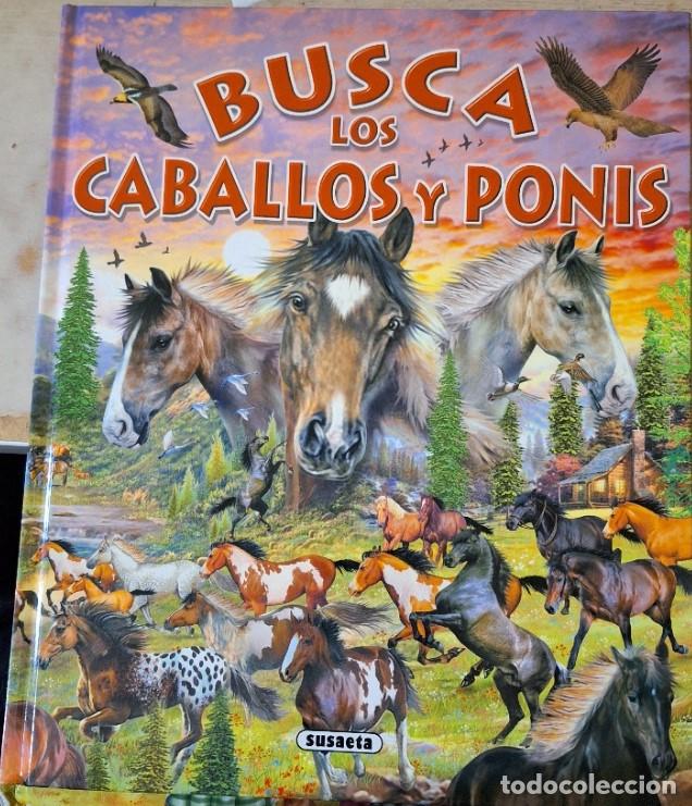 Libri di seconda mano: BUSCA LOS CABALLOS Y PONIS. -