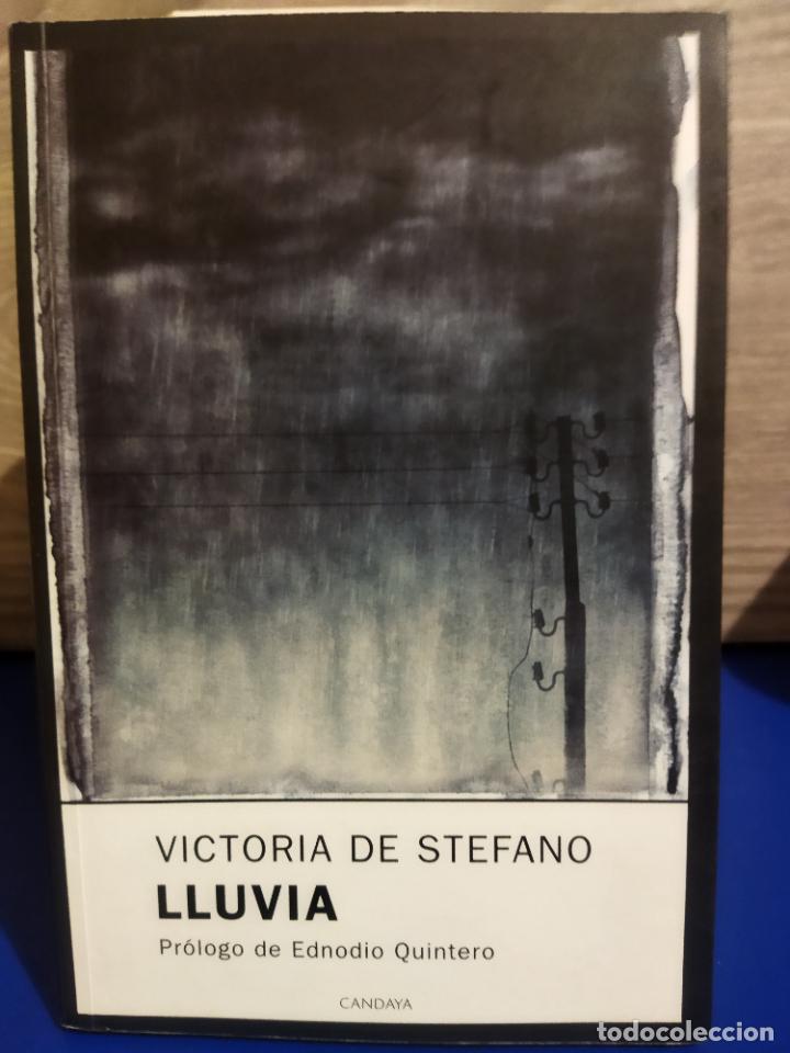 Libros de segunda mano: Lluvia - Foto 1