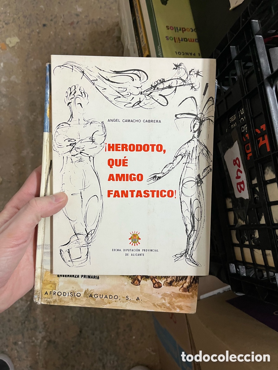 Libros de segunda mano: 84B ANGEL CAMACHO CABRERA &iexcl;HERODOTO, QUE AMIGO FANTASTICO! Alicante