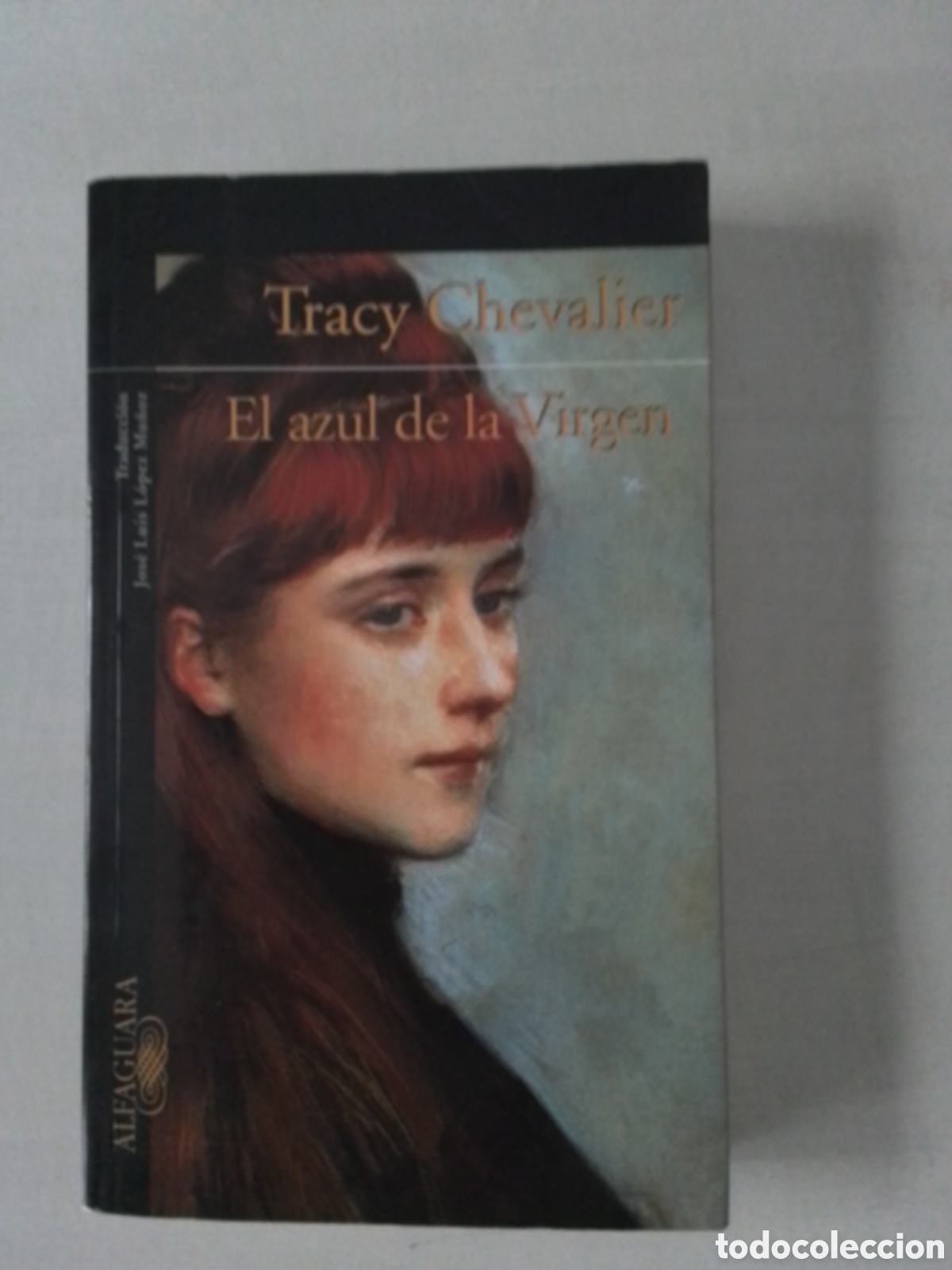 Libros de segunda mano: Libro Tracy Chevalier - Foto 1
