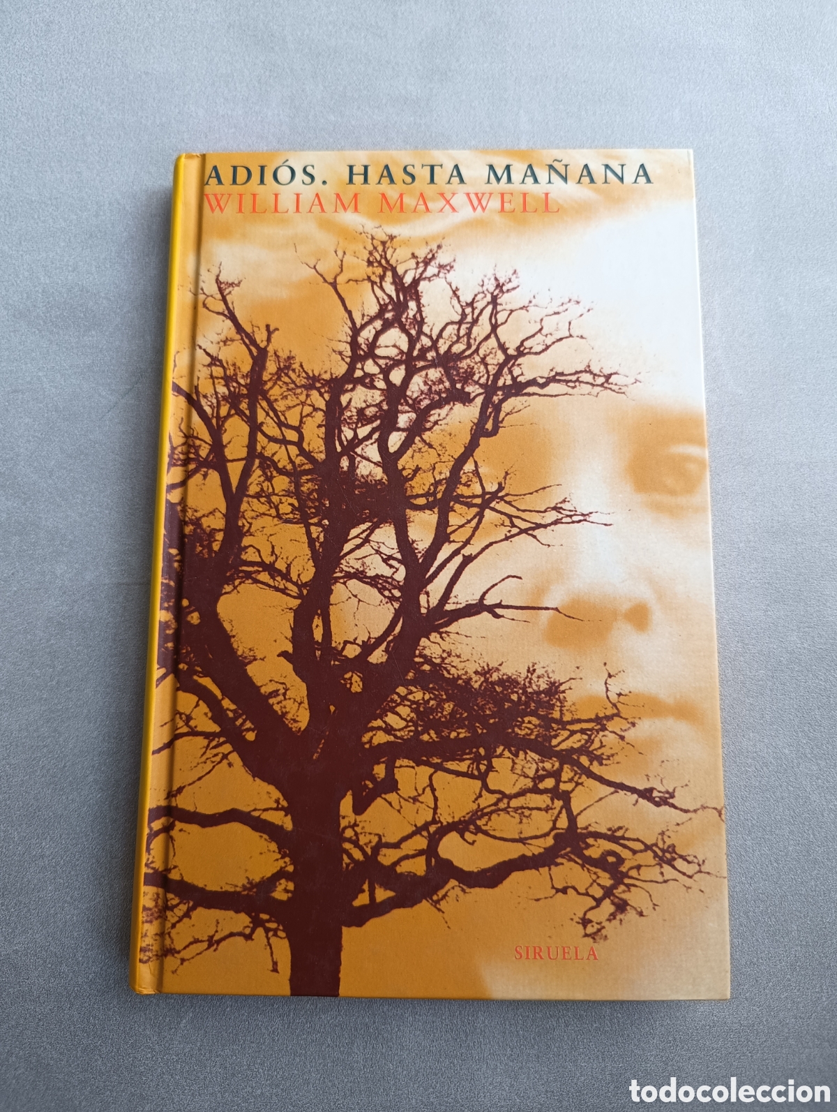Libros de segunda mano: Adi&oacute;s. Hasta ma&ntilde;ana. William Maxwell. - Foto 1