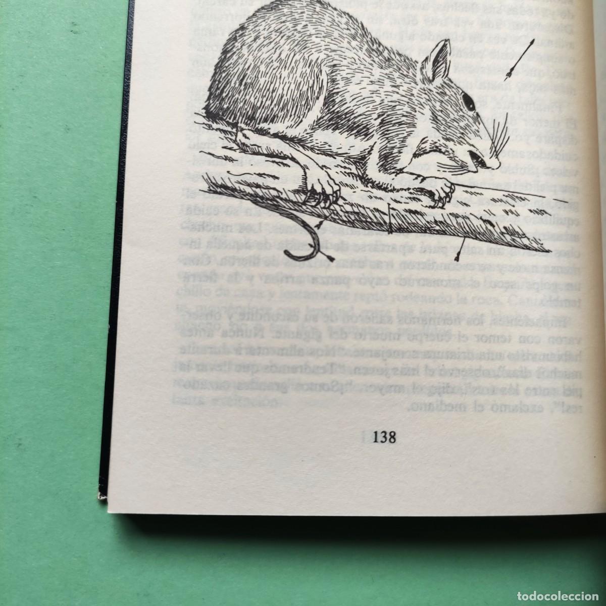 Libros de segunda mano: CUENTOS DE LOS INDIOS IROQUESES **THEHANETORENS ** CON CUADERNILLO SEPARATA ** JUANI - Foto 9