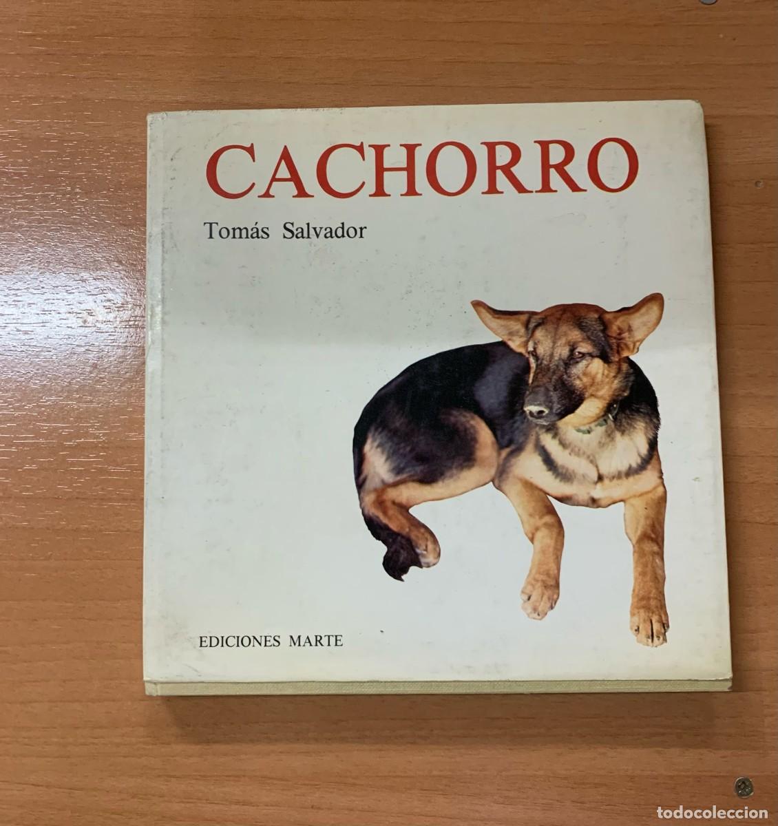 Libros de segunda mano: Cachorro, de Tom&aacute;s Salvador - Foto 1