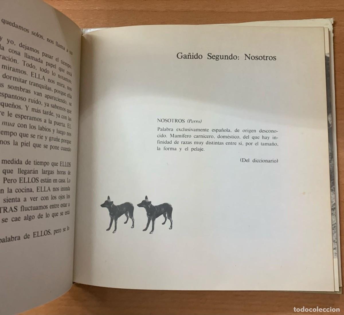 Libros de segunda mano: Cachorro, de Tom&aacute;s Salvador - Foto 3