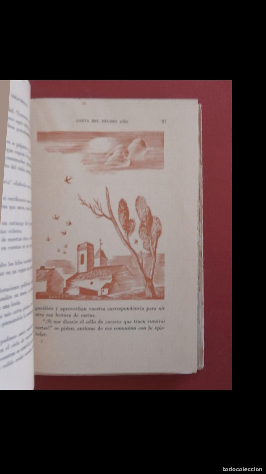 Libros de segunda mano: Cartas a las golondrinas. Ram&oacute;n G&oacute;mez de la Serna - Foto 2