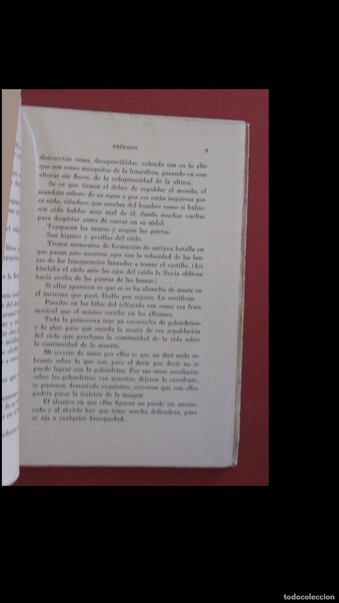 Libros de segunda mano: Cartas a las golondrinas. Ram&oacute;n G&oacute;mez de la Serna - Foto 5