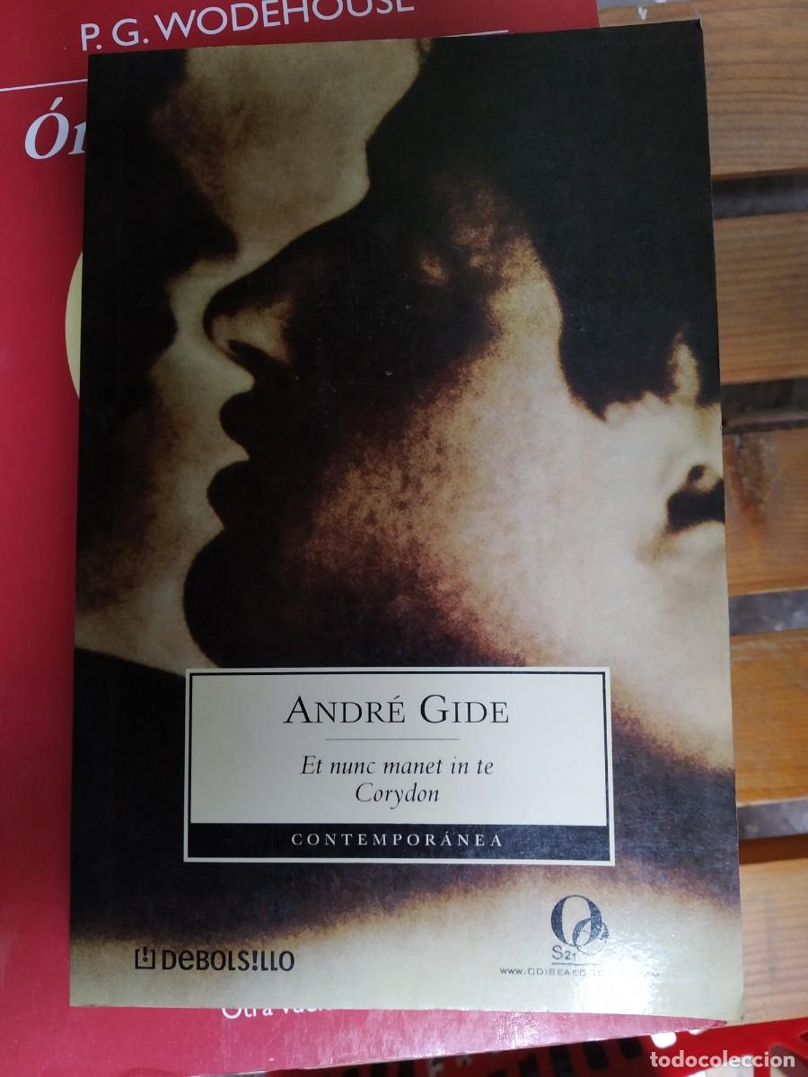 Libros de segunda mano: Andr&eacute; Gide - El nunc manet in te Corydon - Foto 1