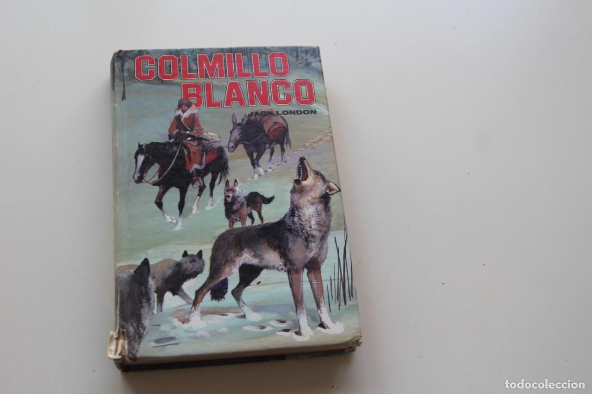 Libros de segunda mano: COLMILLO BLANCO - Foto 1