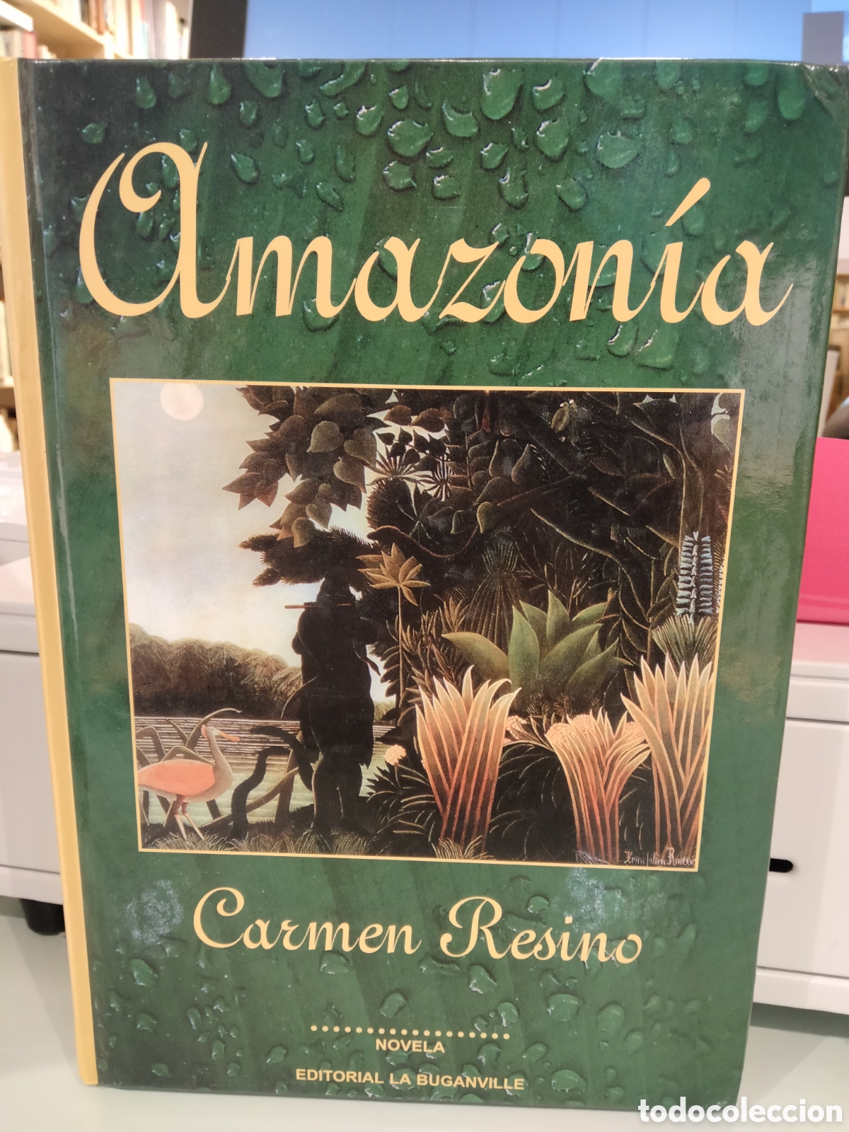 Libros de segunda mano: Amazon&iacute;a - Carmen Resino - Foto 1
