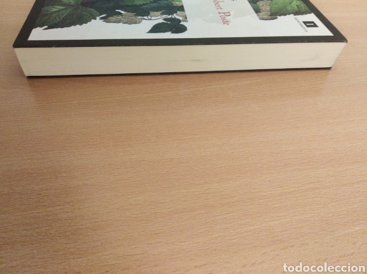 Libros de segunda mano: LA HIJA DE ROBERT POSTE. Stella Gibbons - Foto 3
