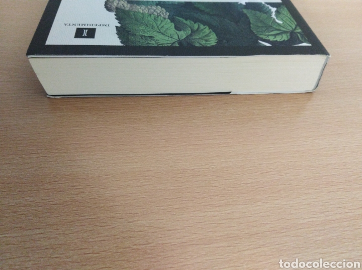 Libros de segunda mano: LA HIJA DE ROBERT POSTE. Stella Gibbons - Foto 4