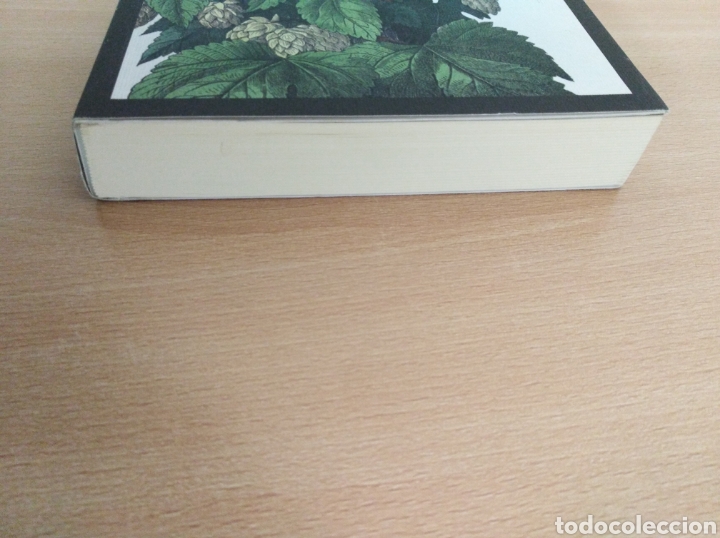 Libros de segunda mano: LA HIJA DE ROBERT POSTE. Stella Gibbons - Foto 5