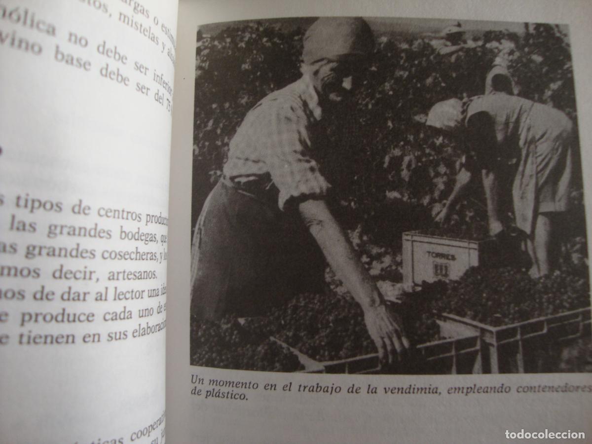 Libros de segunda mano: el libro del vino - Foto 2