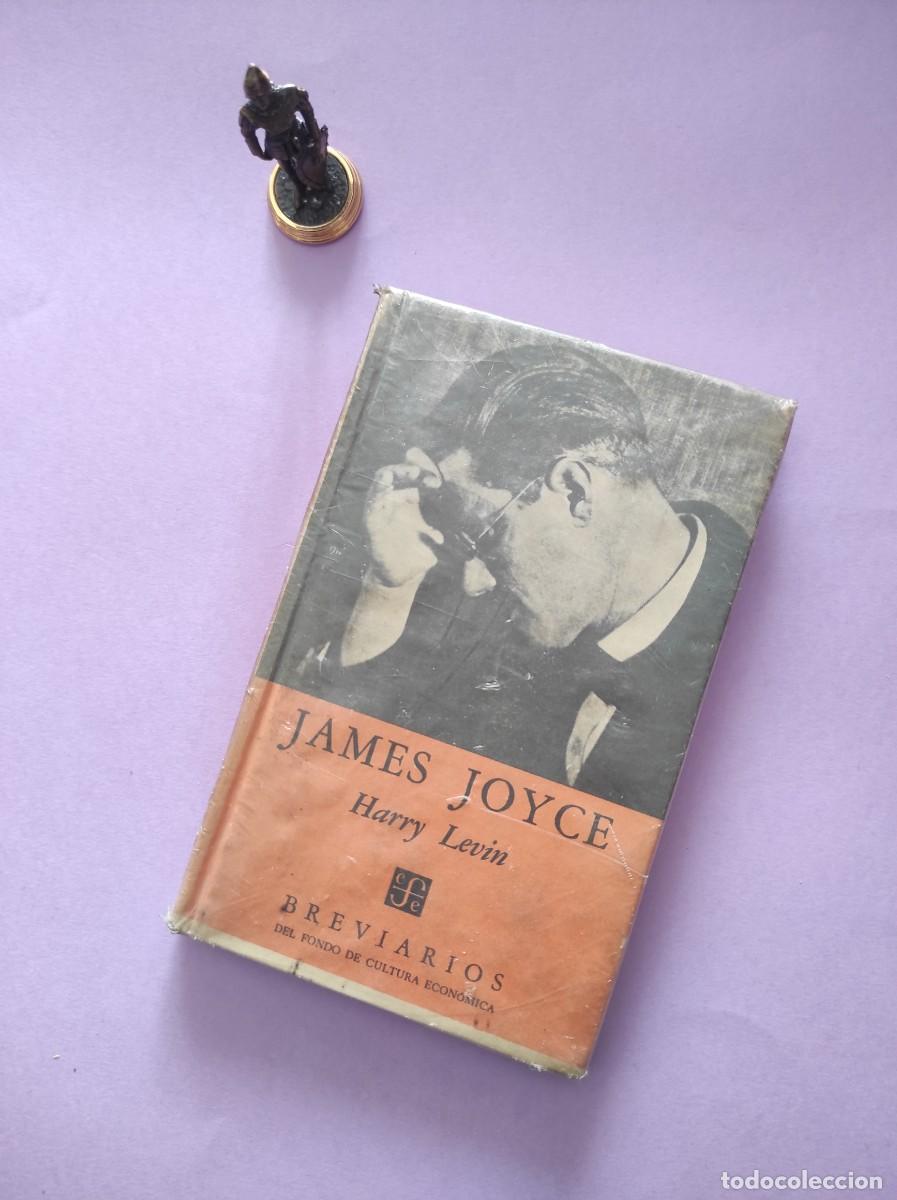 Libros de segunda mano: JAMES JOYCE - Harry Levin - Foto 1
