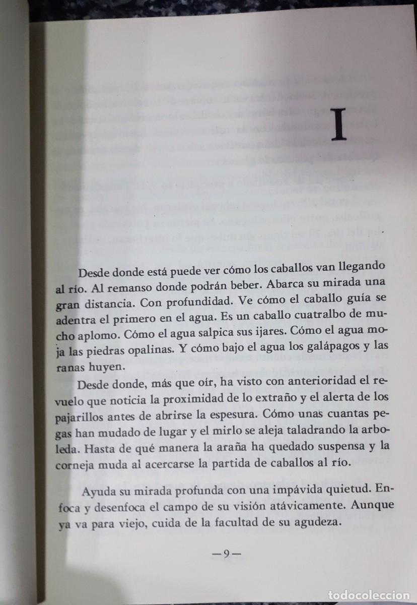 Libros de segunda mano: Libro firmado Badajoz Extremadura - Foto 6