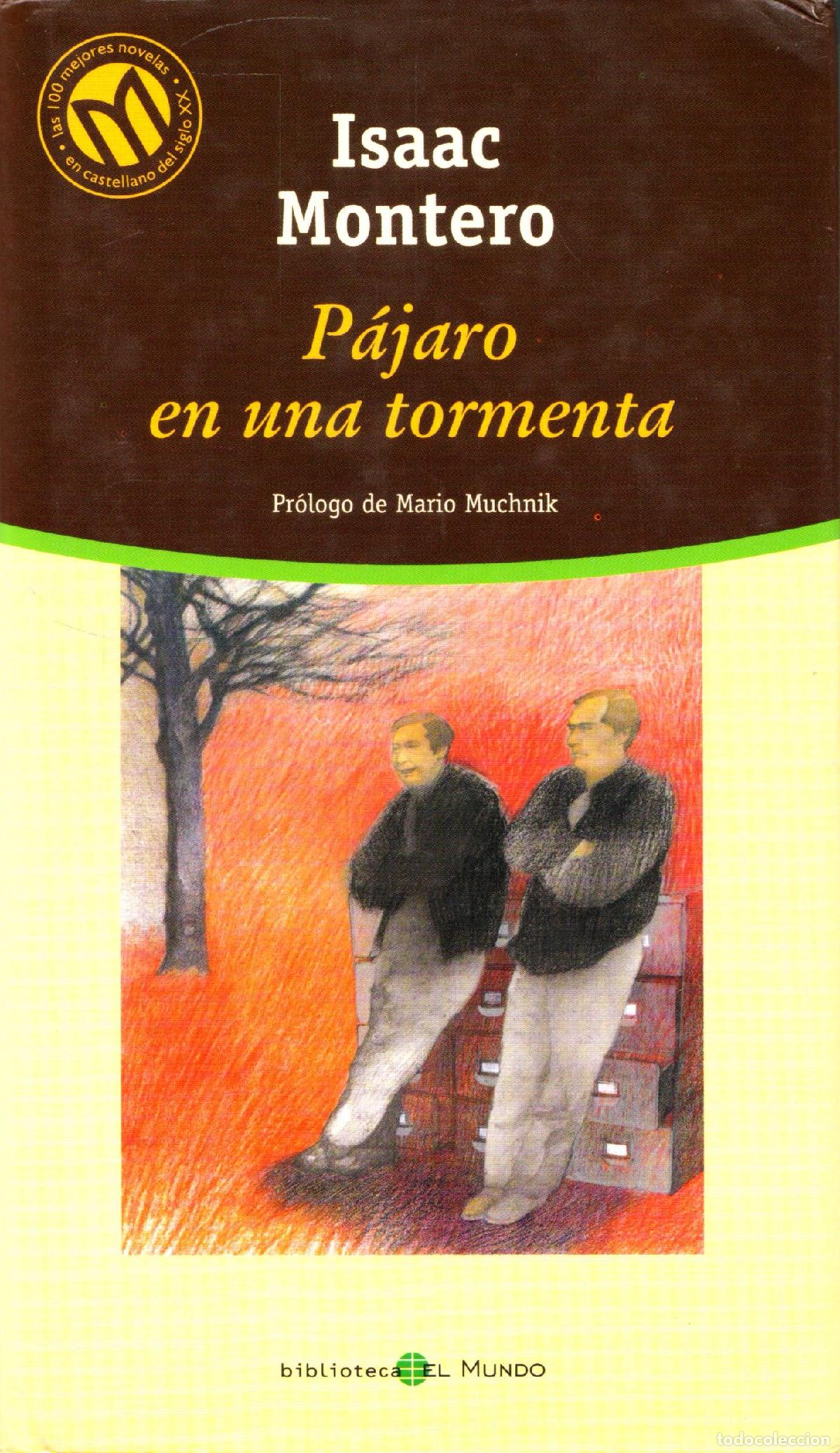 Libros de segunda mano: Pajaro en una tormenta - Montero, Isaac - Foto 1
