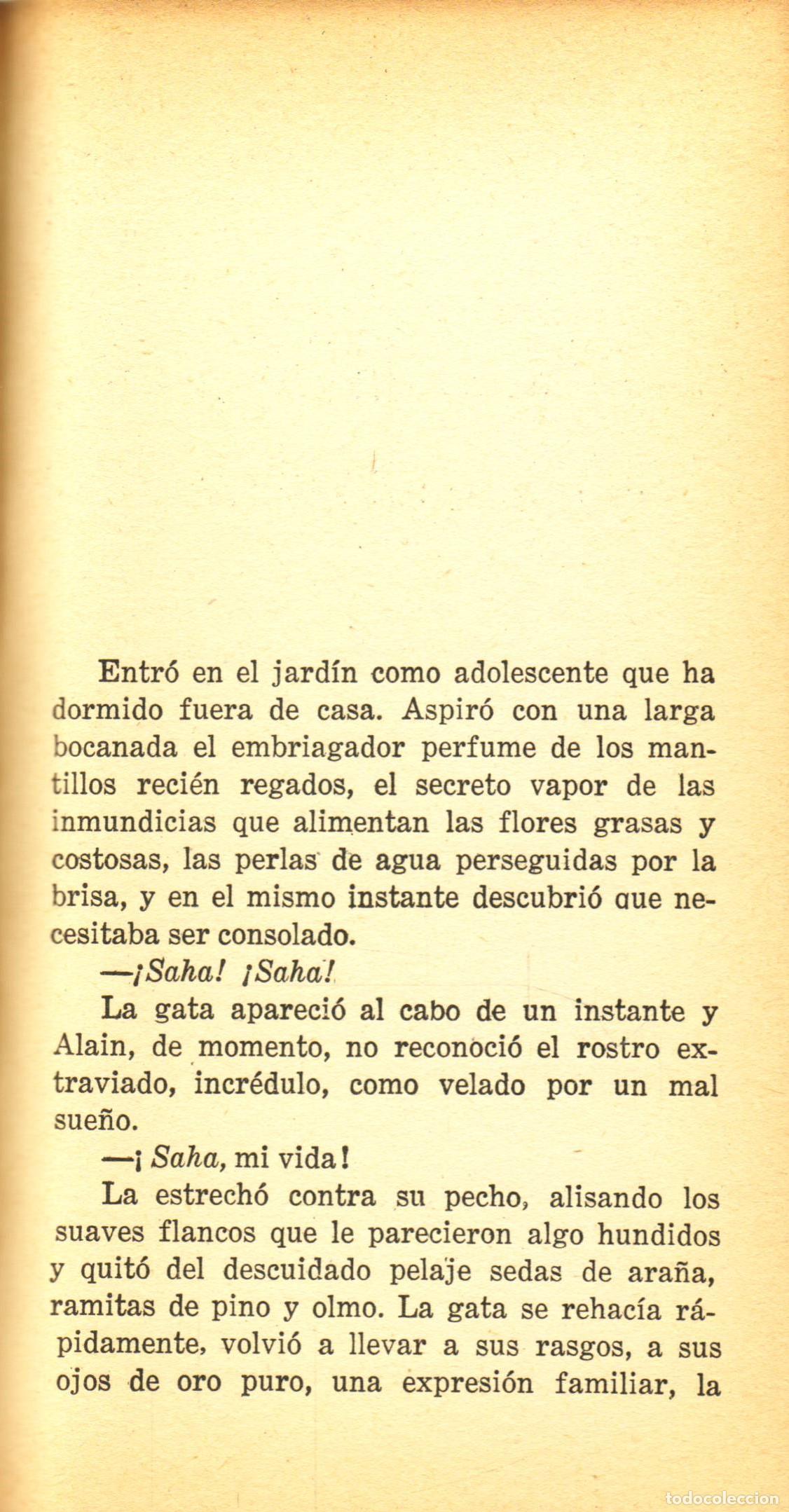 Libros de segunda mano: La gata - Colette - Foto 2