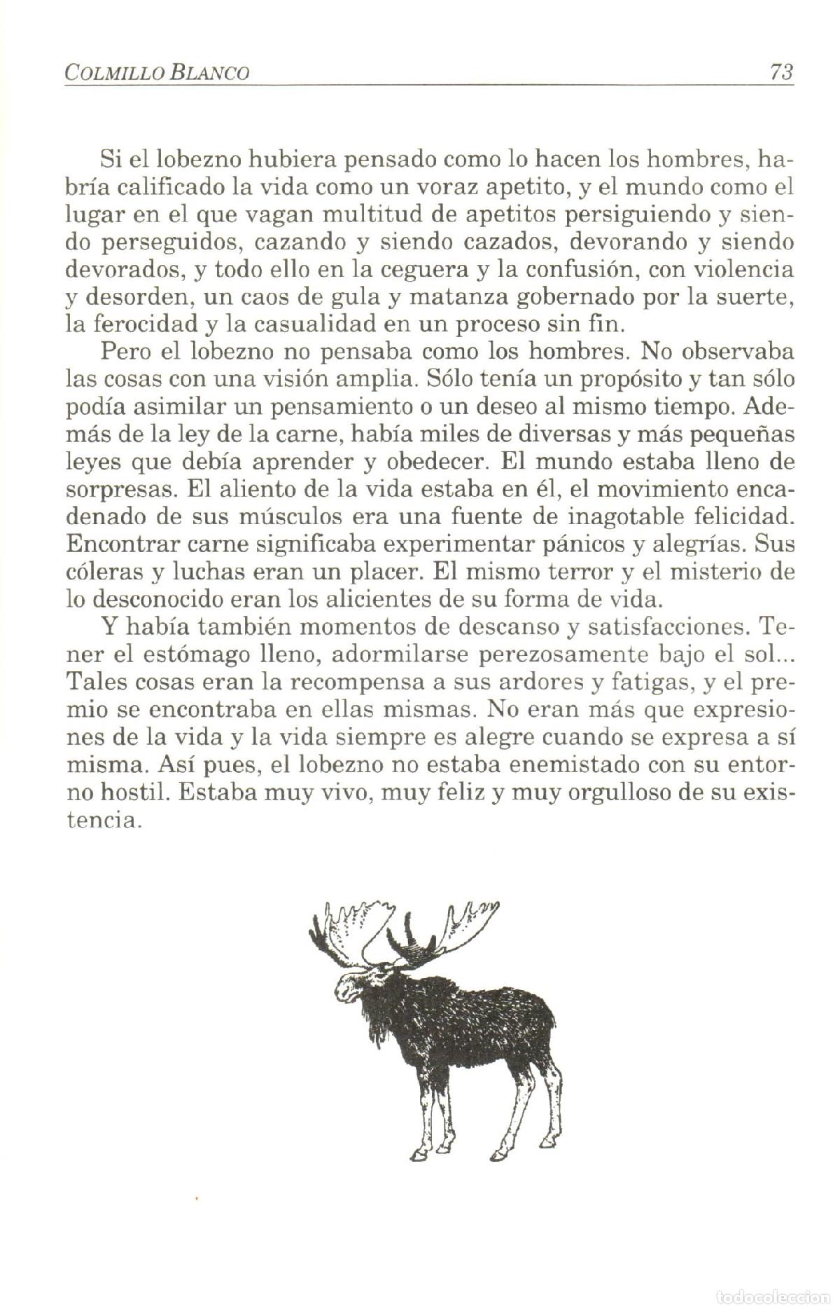 Libros de segunda mano: Colmillo blanco - London, Jack - Foto 3