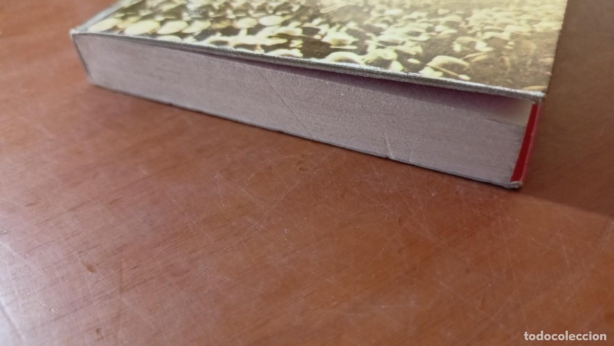 Libros de segunda mano: Hotel Berl&iacute;n 1943 - Vicki Baum - Foto 3
