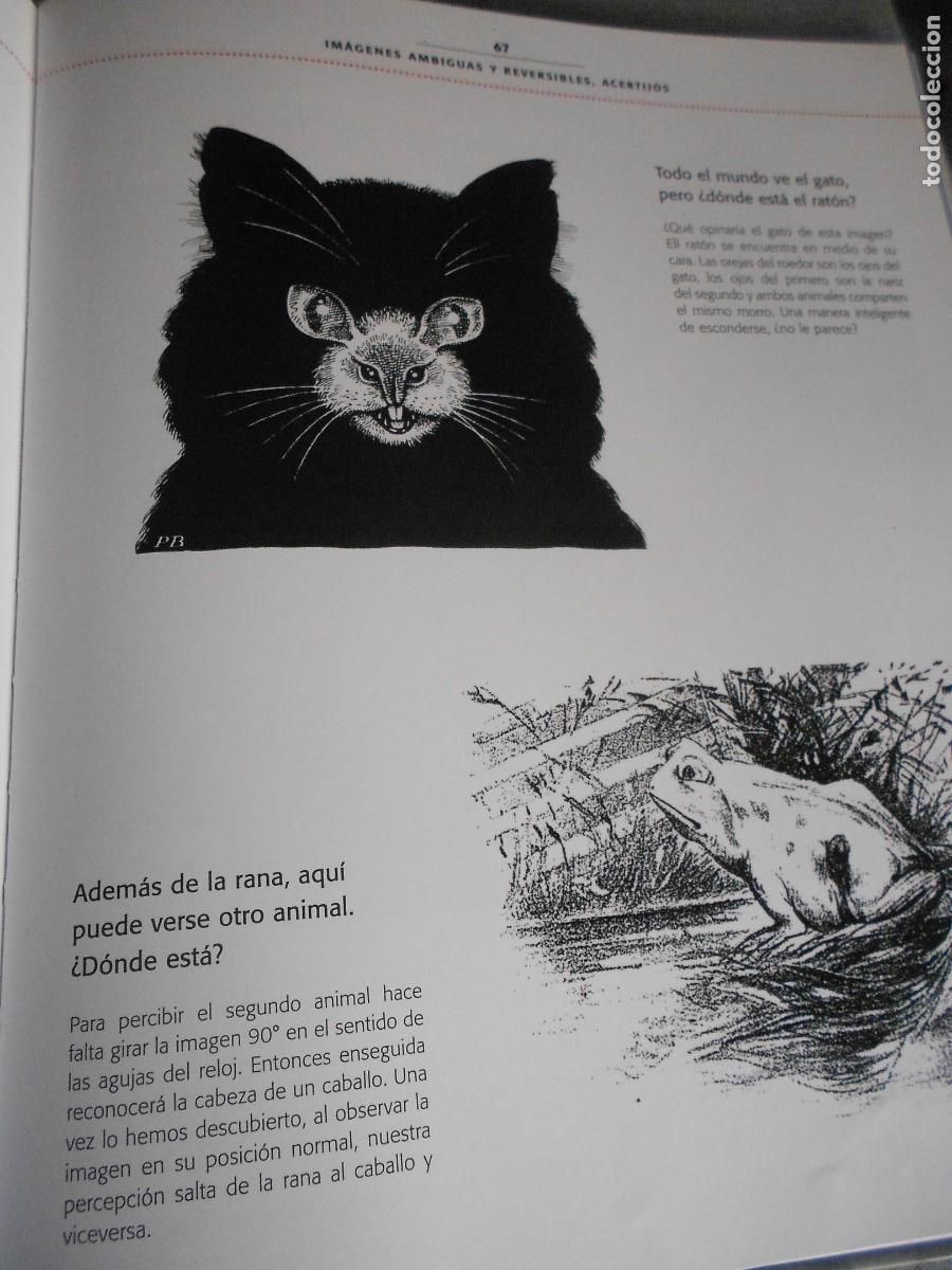 Libros de segunda mano: ILUSIONES OPTICAS - Foto 12