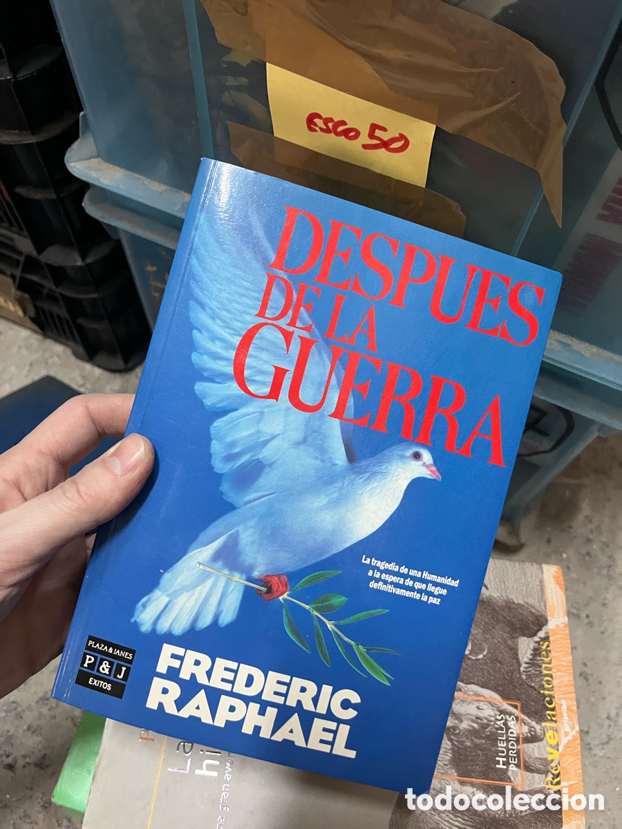 Libros de segunda mano: Esco50 FREDERIC RAPHAEL despues de la guerra